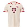 Köpa FC Bayern München Tredjetröja 2024/25 João Palhinha 16 Kortärmad-1