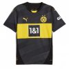 Köpa Billiga Herr Borussia Dortmund Bortatröja 2024/25 Maximilian Beier 14 Kortärmad-1