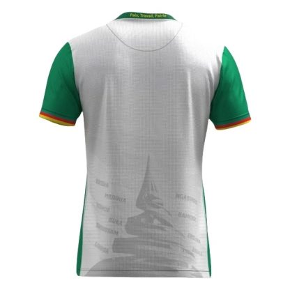 Kamerun Herr Tredjetröja 2025/26 Kortärmad Billig Fotbollströja-1