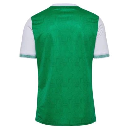 AS Saint-Étienne Herr Hemmatröja 2025/26 – Kortärmad Fotbollströja-1