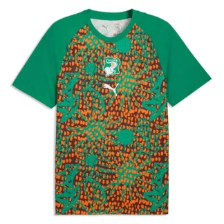 Elfenbenskusten Pre-Match Tröja Herr VM 2026 Kortärmad Fotbollströja