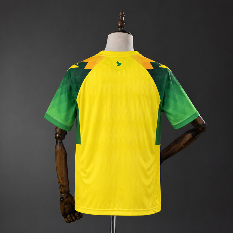 FC Nantes 2026/27 Hemmatröja Herr Gul och Grön Fotbollströja